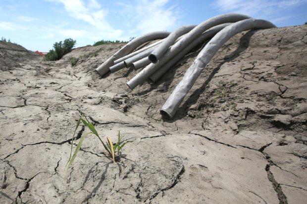 Photo - Unfortunately, this water crisis isn't purely the consequence of bad luck -- or the heavens snubbing California of the rains. Bureaucrats have managed to worsen the situation. (AP Photo)&nbsp;